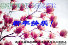 ֹ,ľ˹󷨵ӹףʦ(23)