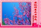 ֹ,󷨵ӹףʦ(28)