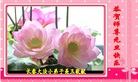 ֹ,󷨵ӹףʦ(28)