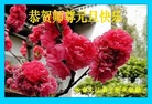 ֹ,󷨵ӹףʦ(28)