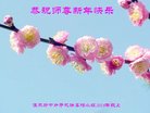 ֹ,ľ˹󷨵ӹףʦ(23)