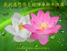 ֹ,ľ˹󷨵ӹףʦ(23)