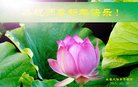 ֹ,󷨵ӹףʦ(28)