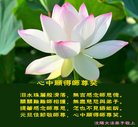 ֹ,󷨵ӹףʦ(27)