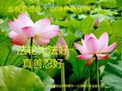 ֹ,ʡ󷨵ӹףʦ(25)