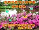 ֹ,ľ˹󷨵ӹףʦ(18)
