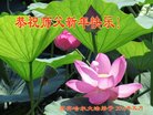 ֹ,󷨵ӹףʦ(25)