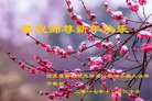 ֹ,ɽ󷨵ӹףʦ(30)
