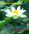 ֹ,ݴ󷨵ӹףʦ(23)