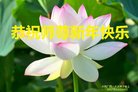 ֹ,󷨵ӹףʦ(28)