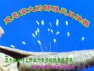 ֹ,մ󷨵ӹףʦ(29)