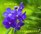ֹ,󷨵ӹףʦ(22)