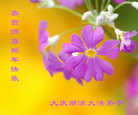 ֹ,󷨵ӹףʦ(22)