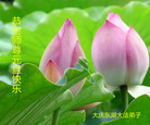 ֹ,󷨵ӹףʦ(22)