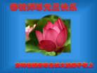 ֹ,ʡ󷨵ӹףʦ(25)