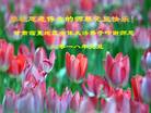 ֹ,󷨵ӹףʦ(19)
