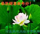 ֹ,󷨵ӹףʦ(25)