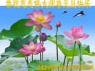 ֹ,󷨵ӹףʦ(28)