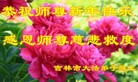 法轮功,吉林市大法弟子恭祝师尊新年好(23条)