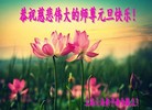 ֹ,Ϻ󷨵ӹףʦ(28)
