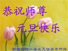 法轮功,湖南大法弟子恭祝师尊新年好(24条)