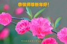 ֹ,ػʵ󷨵ӹףʦ(24)