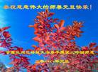 ֹ,󷨵ӹףʦ(22)