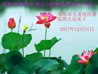 法轮功,重庆大法弟子恭祝师尊新年好(27条)