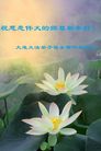 ֹ,󷨵ӹףʦ(29)