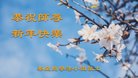 法轮功,秦皇岛大法弟子恭祝师尊新年好(24条)