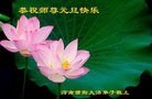 ֹ,ϴ󷨵ӹףʦ(29)