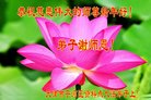 ֹ,󷨵ӹףʦ(26)