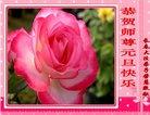 法轮功,长春大法弟子恭祝师尊新年好(27条)