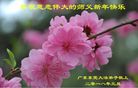 法轮功,广东大法弟子恭祝师尊新年好(27条)