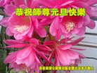 ֹ,󷨵ӹףʦ(27)
