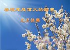 法轮功,广东大法弟子恭祝师尊新年好(27条)