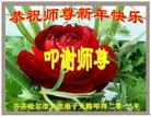 法轮功,齐齐哈尔大法弟子恭祝师尊新年好(25条)