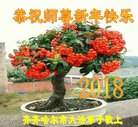 ֹ,󷨵ӹףʦ(25)