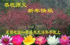 ֹ,ɶ󷨵ӹףʦ(23)