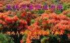 ֹ,ȷ󷨵ӹףʦ(23)