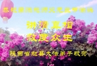法轮功,陕西大法弟子恭祝师尊新年好(25条)