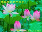 ֹ,ɹŴ󷨵ӹףʦ(28)