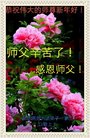 ֹ,ȷ󷨵ӹףʦ(23)
