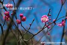 ֹ,󷨵ӹףʦ(27)