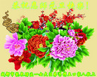 法轮功,成都大法弟子恭祝师尊新年好(18条)