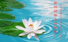 法轮功,内蒙古大法弟子恭祝师尊新年好(28条)