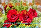 法轮功,张家口大法弟子恭祝师尊新年好(21条)