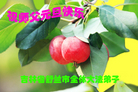 ֹ,д󷨵ӹףʦ(22)