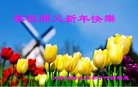 ֹ,󷨵ӹףʦ(24)
