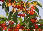ֹ,մ󷨵ӹףʦ(27)